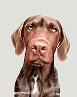 Schulhund Will